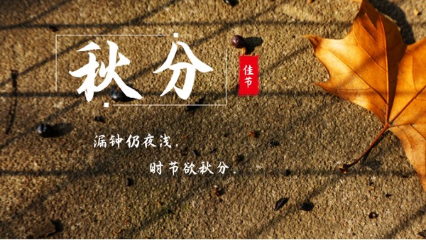 樓上樓門窗 | 白露秋分夜,一夜冷一夜，高端門窗安排上！